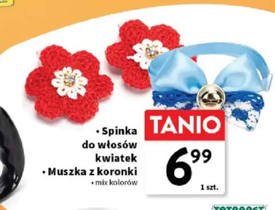 Muszka z koronki +1 wariant