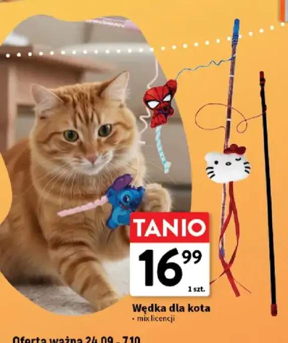 Wędka dla kota