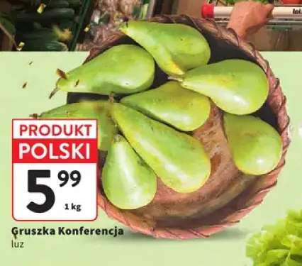 Gruszki Konferencja