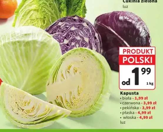 Kapusta biała +4 warianty