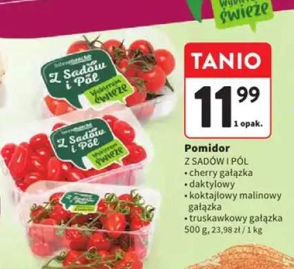 Pomidor cherry gałązka Z Sadów i Pól +3 warianty