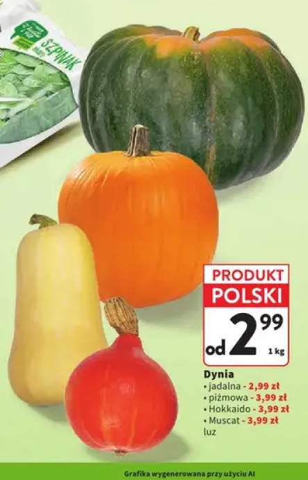Dynia jadalna +3 warianty