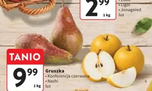 Gruszki Konferencja czerwona +1 wariant