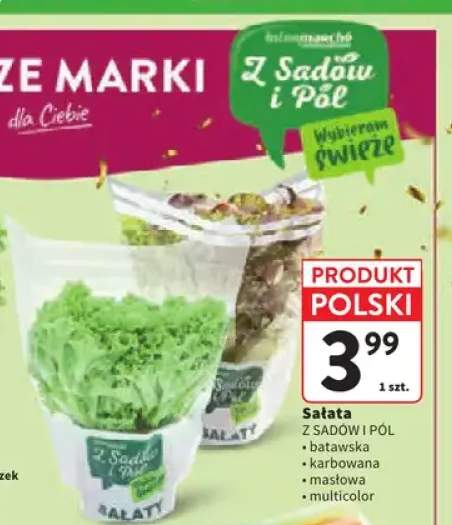 Sałata batawska Z Sadów i Pól +3 warianty