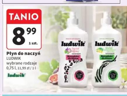 Płyn do naczyń Ludwik