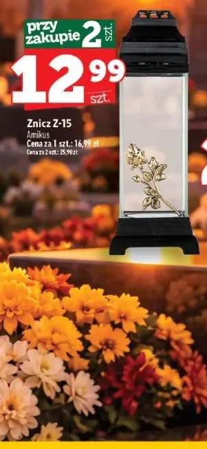 znicz