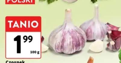 Czosnek
