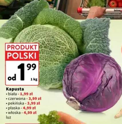 Kapusta biała +4 warianty