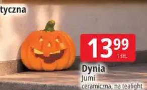 dynia