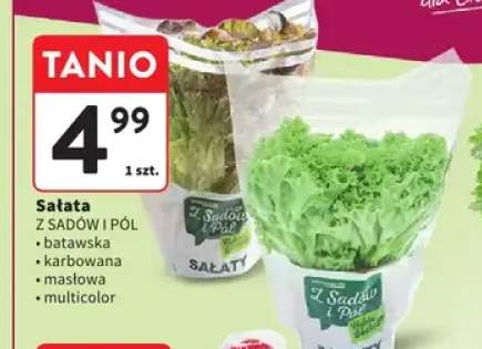 Sałata batawska Z Sadów i Pól +3 warianty