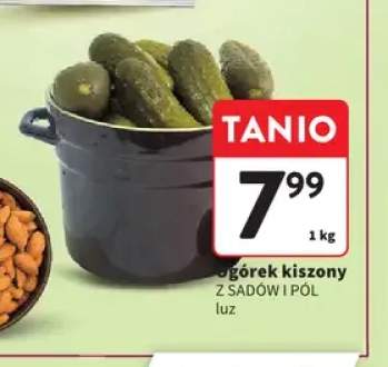 Ogórek kiszony luz Z Sadów i Pól