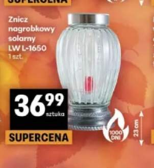znicz