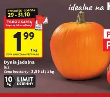 Dynia jadalna luzem