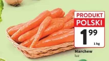 Marchew polska