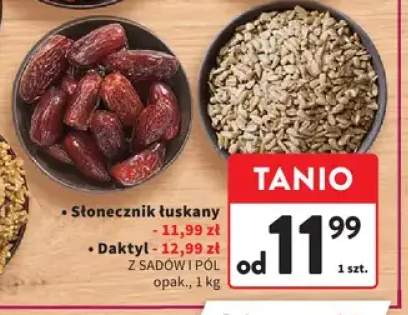 Słonecznik łuskany Z Sadów i Pól +1 wariant